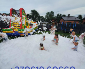 Putų vakarėlis / Putų Vakarėlis ( Mindaugas) / Darbų pavyzdys ID 2755407