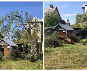 Vejos priežiūra, aplinkos tvarkymas, vejos įrengimas / Marius / Darbų pavyzdys ID 2757059