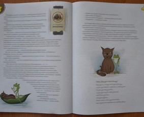 Grafikos dizainas - iliustravimas / Rūta / Darbų pavyzdys ID 2757469
