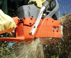 Vejos priežiūra, įrengimas - Žolės pjovimas Apleistų sklypų priežiūra atliekų išvežimas - 4