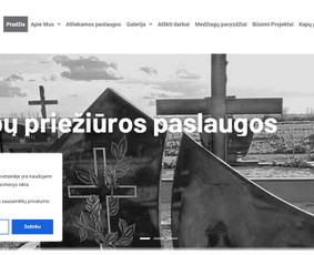 Interneto svetainių kūrimas, El. parduotuvių kūrimas / Jonas / Darbų pavyzdys ID 2758705