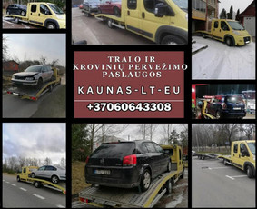 Tralas Traliukas Techninė Pagalba Kelyje Kaunas-lietuva / Rimvio_traliukas / Darbų pavyzdys ID 2761113