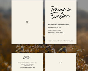 Maketavimas - Logotipai, maketavimas, įmonės įvaizdžio kūrimas - 3