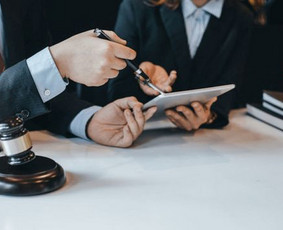 Profesionalios ir patikimos teisinės paslaugos - Žemės teisės paslaugos - 1 Žemės teisės paslaugos - Profesionalios ir patikimos teisinės paslaugos - 1