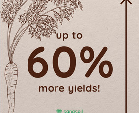 Efektyvi Google, Facebook Reklama/ Soc. Tinklai/ Seo - Naujienlaiškių kūrimas ir sklaida - 1 Naujienlaiškių kūrimas ir sklaida - Efektyvi Google, Facebook Reklama/ Soc. Tinklai/ Seo - 1