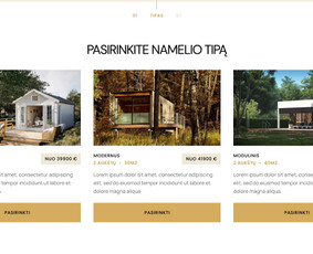 Internetas, IT - Sistemų, el. parduotuvių kūrimas, konsultacijos Jūsų verslui - 4