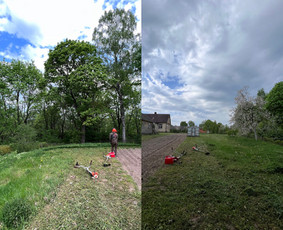 Medžių pjovimas-genėjimas/gyvatvorių karpymas / MB Medžio Kvapas / Darbų pavyzdys ID 2768239