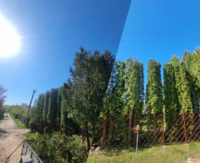 Medžių pjovimas-genėjimas / MB Medžio Kvapas / Darbų pavyzdys ID 2768287