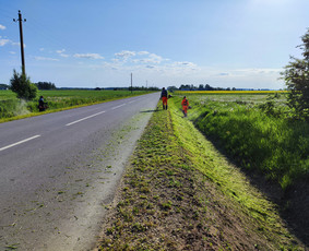 Krūmų/žolės pjovimas, miško sodinimas, Jaunuolynų ugdymas, / MB Siberija / Darbų pavyzdys ID 2773847