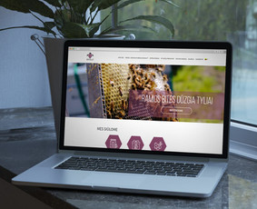 Programavimas su WordPress - Internetinių svetainių, e. shop kūrimas - 3