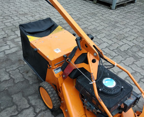 Aplinkos tvarkymas, apželdinimas - Žolės pjovimas, skarifikavimas, vaismedžių genėjimas - 1