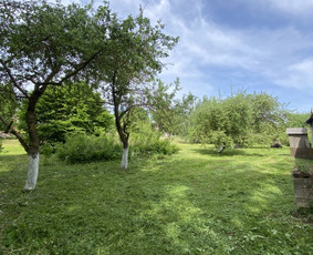 Žolės pjovimas / Aplinkos priežiūros darbai / Daimonas Ambrazas / Darbų pavyzdys ID 2778359