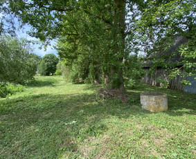 Žolės pjovimas / Aplinkos priežiūros darbai / Daimonas Ambrazas / Darbų pavyzdys ID 2778361