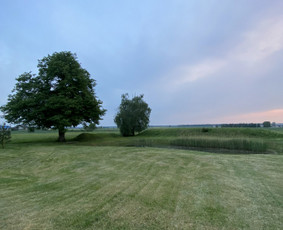 Žolės pjovimas / Aplinkos priežiūros darbai / Daimonas Ambrazas / Darbų pavyzdys ID 2778369