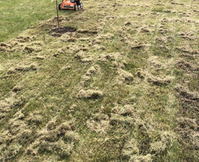 Vejos aeravimas - Vejos pjovimas-aplinkos priežiūra, tvarkymas. - 1