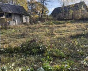 Pievų &scaron;ienavimas - Vejos pjovimas-aplinkos priežiūra, tvarkymas. - 4