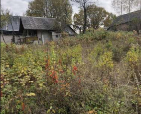 Pievų &scaron;ienavimas - Vejos pjovimas-aplinkos priežiūra, tvarkymas. - 3