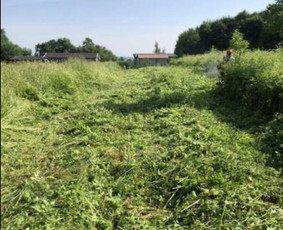 Pievų &scaron;ienavimas - Vejos pjovimas-aplinkos priežiūra, tvarkymas. - 1