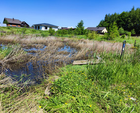 Krūmų/žolės pjovimas, miško sodinimas, Jaunuolynų ugdymas, / MB Siberija / Darbų pavyzdys ID 2780507