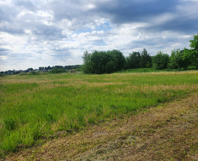 Apleistų sklypų tvarkymas: medžių pjovimas, kelmų rovimas, ž - Pievų šienavimas - 4 Pievų šienavimas - Apleistų sklypų tvarkymas: medžių pjovimas, kelmų rovimas, ž - 4