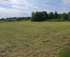 Apleistų sklypų tvarkymas: medžių pjovimas, kelmų rovimas, ž - Pievų šienavimas - 3 Pievų šienavimas - Apleistų sklypų tvarkymas: medžių pjovimas, kelmų rovimas, ž - 3