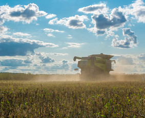 agro fotografija