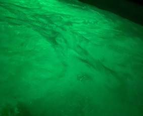 Mobilaus kubilo nuoma - Kubilo nuoma - 4