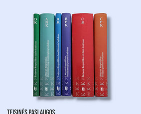 Teisinės paslaugos - Profesionalios Teisinės Paslaugos - 1