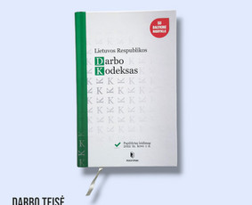 Profesionalios Teisinės Paslaugos - Darbo teisės paslaugos - 1 Darbo teisės paslaugos - Profesionalios Teisinės Paslaugos - 1