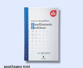 Baudžiamosios teisės paslaugos - Profesionalios Teisinės Paslaugos - 1