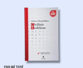 Paslaugos verslui - Profesionalios Teisinės Paslaugos - 4