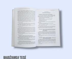 Baudžiamosios teisės paslaugos - Profesionalios Teisinės Paslaugos - 4