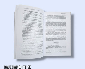 Baudžiamosios teisės paslaugos - Profesionalios Teisinės Paslaugos - 2