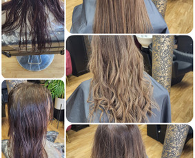 Kirpimai visai šeimai, dažymas, priauginimas / Elena / Darbų pavyzdys ID 2788049