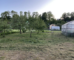 Žolės pjovimas / Aplinkos priežiūros darbai / Daimonas Ambrazas / Darbų pavyzdys ID 2788639