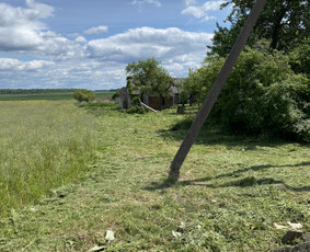 Žolės pjovimas / Aplinkos priežiūros darbai / Daimonas Ambrazas / Darbų pavyzdys ID 2788643