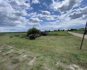 Žolės pjovimas / Aplinkos priežiūros darbai / Daimonas Ambrazas / Darbų pavyzdys ID 2788649