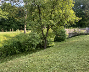 Žolės pjovimas / Aplinkos priežiūros darbai / Daimonas Ambrazas / Darbų pavyzdys ID 2788655