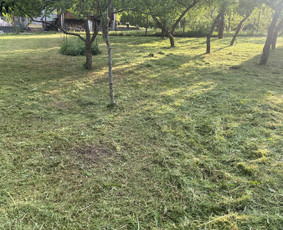Žolės pjovimas / Aplinkos priežiūros darbai / Daimonas Ambrazas / Darbų pavyzdys ID 2788657
