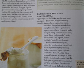 Kulinarinių tekstų redagavimas - Profesionalus tekstų redagavimas - 1