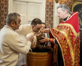 Vestuvių ir asmeninių švenčių fotografavimas. / Vaiva Budėnė / Darbų pavyzdys ID 2792287