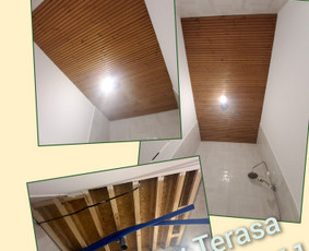 Naujų Terasų įrengimas, Senų Terasų, Stoginių restauravimas. / Darius. Šulskis / Darbų pavyzdys ID 2793581