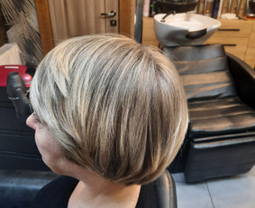 Kirpimai visai šeimai, dažymas, priauginimas / Elena / Darbų pavyzdys ID 2795429