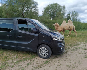 Keleivių pervežimas mikroautobusais su vairuotoju / TRANSFERSLTU / Darbų pavyzdys ID 2795631