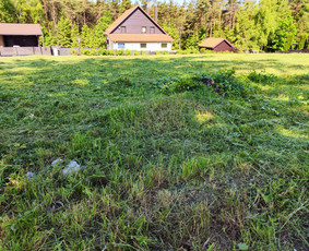 Krūmų/žolės pjovimas, miško sodinimas, Jaunuolynų ugdymas, / MB Siberija / Darbų pavyzdys ID 2796571