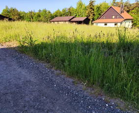 Krūmų/žolės pjovimas, miško sodinimas, Jaunuolynų ugdymas, / MB Siberija / Darbų pavyzdys ID 2796573