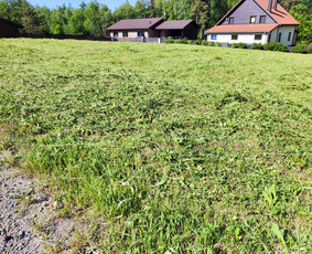 Krūmų/žolės pjovimas, miško sodinimas, Jaunuolynų ugdymas, / MB Siberija / Darbų pavyzdys ID 2796575