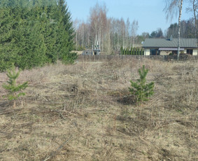 Aplinkos ir miškų tvarkymas - Apleistų sklypų tvarkymas - 3 Apleistų sklypų tvarkymas - Aplinkos ir miškų tvarkymas - 3