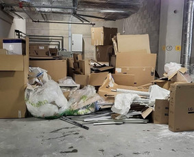 Aplinka, sodas - Šiukšlių išvežimo paslaugos Vilniuje. - 3