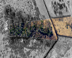 Fotografavimo/ filmavimo paslaugos pietų Lietuvoje ! / Vilmantas Ivanauskas / Darbų pavyzdys ID 2798267